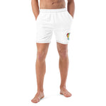 JaieBoo Single 🌈 Men's swim trunks